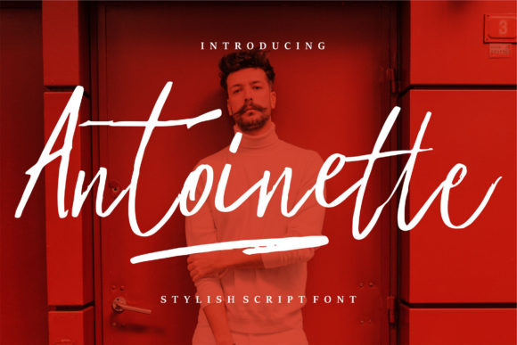 Antoinette: The Perfect Handwritten Font for Crafters