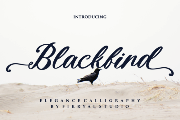 Blackbird: A Designer’s Take on Style and Substance