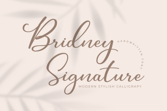 Bridney Signature: A Romantic Script Font for Web Design