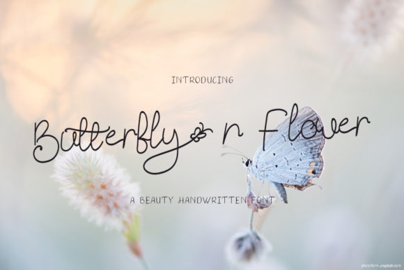 Butterfly N Flower: A Delicate Handwritten Font for Elegant Branding