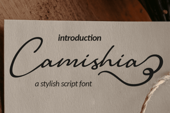 Camishia: The Elegant Script Font for Campaigns