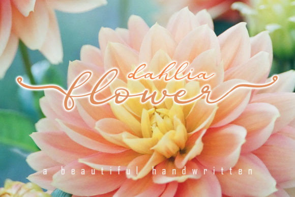 Dahlia Flower Font: A Sweet Touch for Professional Branding