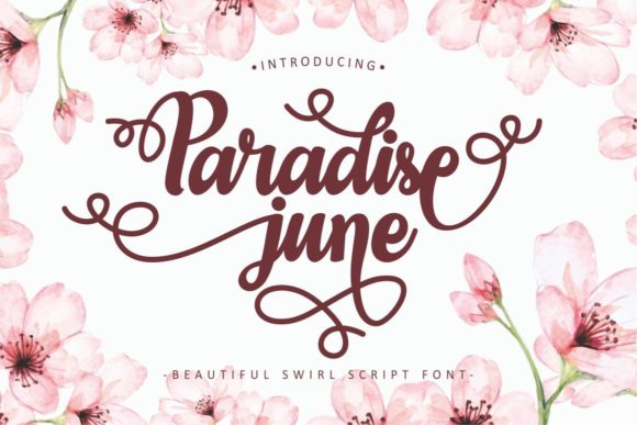 Paradise June: The Elegant Script Font for Branding